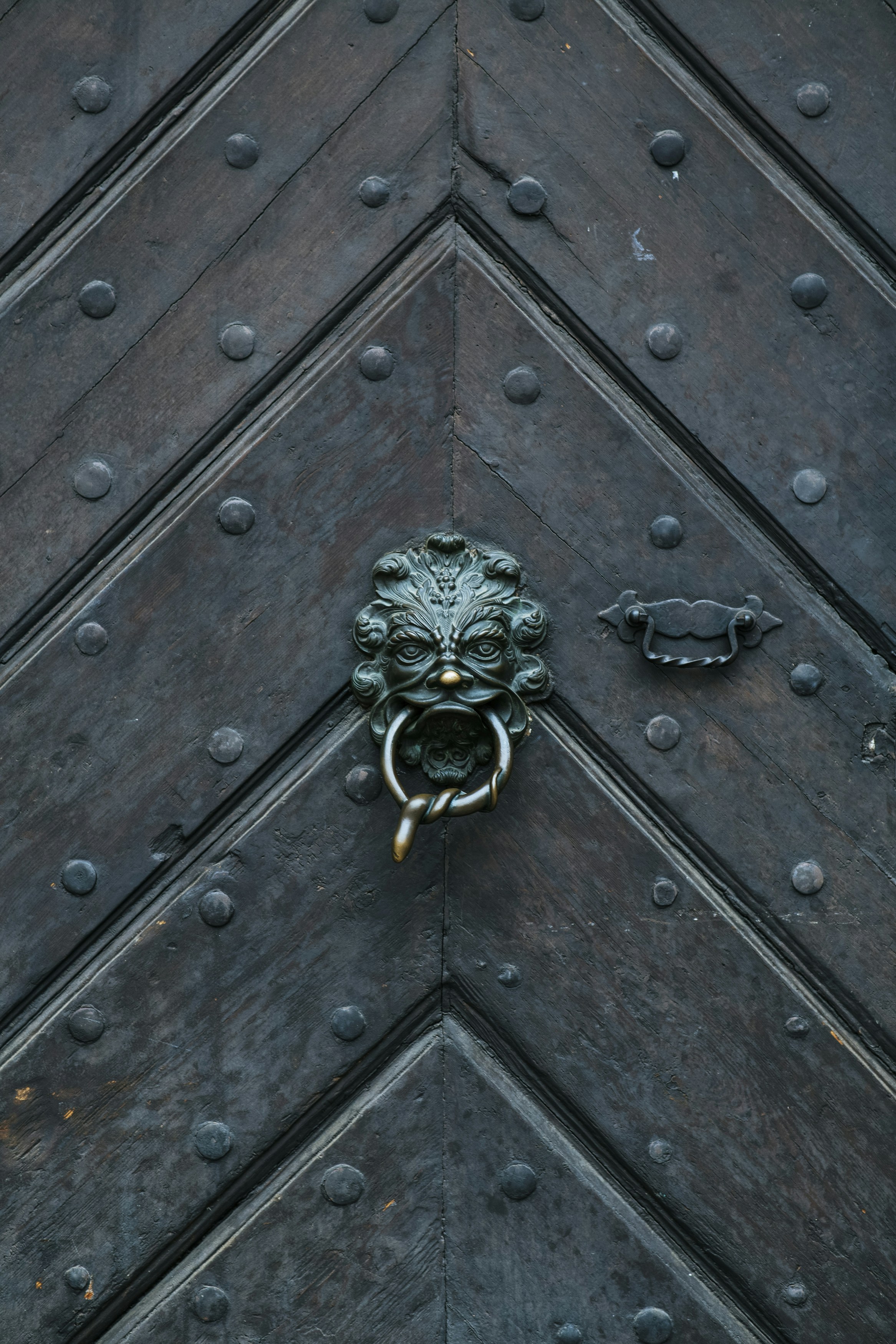 Heritage vintage old wooden entrance gate with historical emblem